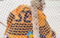 Siatka na lodowiska do gry w hokeja - zabezpieczenie i ochronna oglądających mecz
